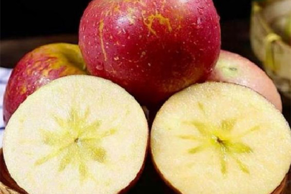 蘋果和什么榨汁好 蘋果可以和牛奶一起吃嗎 蘋果和什么榨汁好 蘋果可以和牛奶一起吃嗎