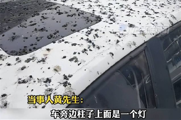 男子停車半小時(shí)車身獨(dú)得鳥(niǎo)屎全覆蓋 停車為什么要收費(fèi)