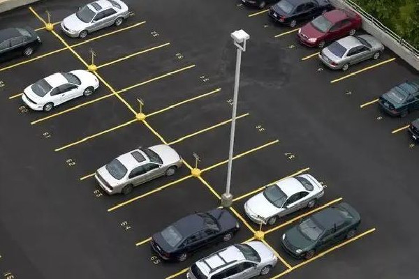 男子停車半小時(shí)車身獨(dú)得鳥(niǎo)屎全覆蓋 停車為什么要收費(fèi)