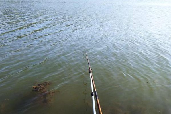 21歲網(wǎng)紅魚塘邊釣魚時觸電身亡 釣魚用什么魚餌最好 21歲網(wǎng)紅魚塘邊釣魚時觸電身亡 釣魚用什么魚餌最好