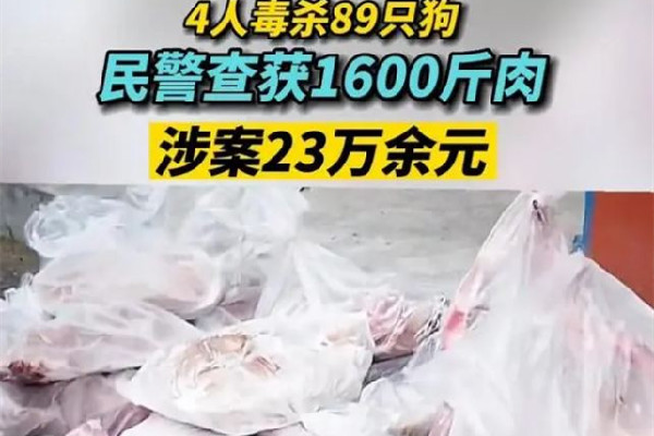 4人毒殺89只狗被拘涉案23萬余元 毒殺流浪狗違法嗎 4人毒殺89只狗被拘涉案23萬余元 毒殺流浪狗違法嗎