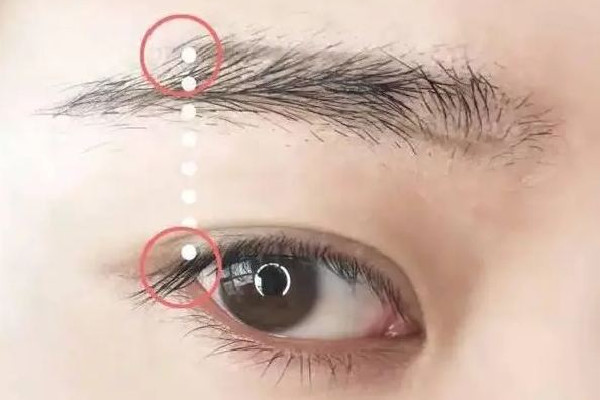 修眉毛多久修一次 修眉毛怎么確定眉形 修眉毛多久修一次 修眉毛怎么確定眉形