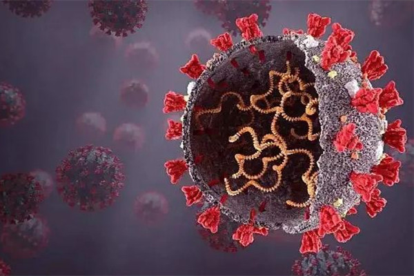 專家稱重復(fù)感染死亡風險翻倍 新冠重復(fù)感染的幾率高嗎