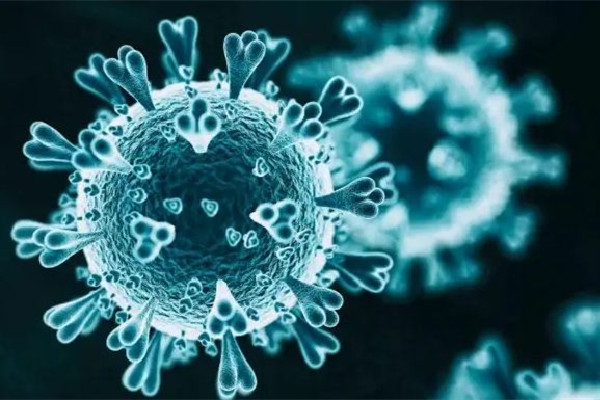 專家稱重復(fù)感染死亡風險翻倍 新冠重復(fù)感染的幾率高嗎