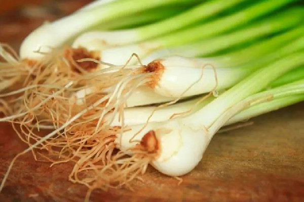 蔥白水要熬多久 蔥白水的正確做法 蔥白水要熬多久 蔥白水的正確做法