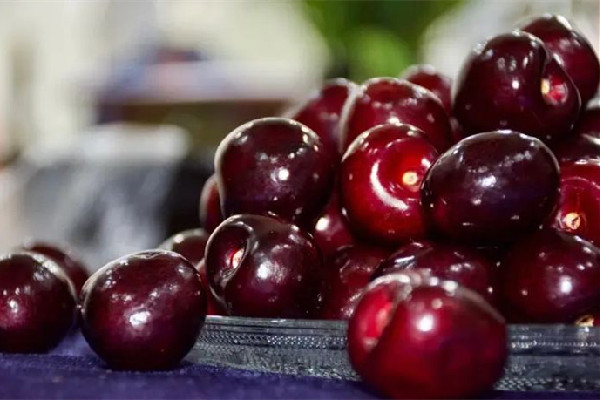 車?yán)遄宇伾詈眠€是淺好 車?yán)遄宇伾顪\有什么區(qū)別 車?yán)遄宇伾詈眠€是淺好 車?yán)遄宇伾顪\有什么區(qū)別