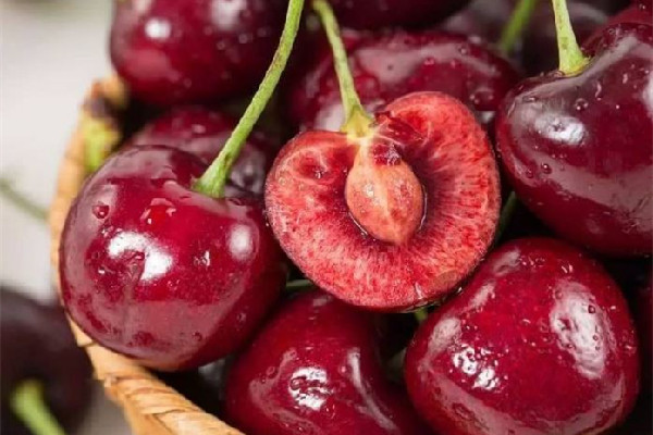 車?yán)遄?J3J有什么區(qū)別 車?yán)遄悠贩N排名 車?yán)遄?J3J有什么區(qū)別 車?yán)遄悠贩N排名