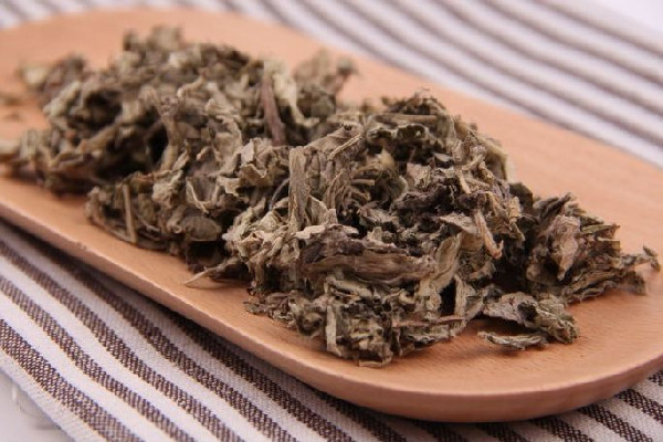 艾草煙熏房間能消毒嗎 艾草有消毒殺菌的作用嗎 艾草煙熏房間能消毒嗎 艾草有消毒殺菌的作用嗎