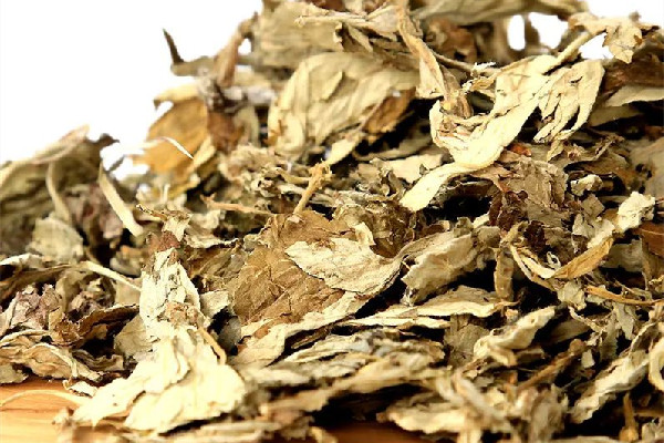 艾草什么時候采摘最好 艾草泡水喝有什么功效和作用 艾草什么時候采摘最好 艾草泡水喝有什么功效和作用