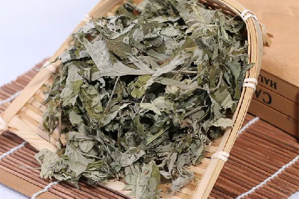 艾草能止癢治皮膚病嗎 艾草止癢有用嗎 艾草能止癢治皮膚病嗎 艾草止癢有用嗎