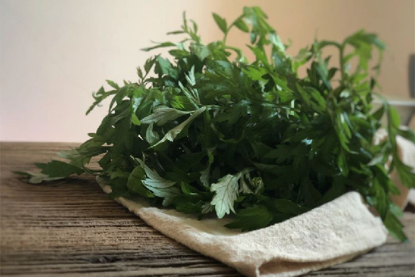 艾草可以洗臉治痘嗎 艾草洗臉的功效和作用 艾草可以洗臉治痘嗎 艾草洗臉的功效和作用