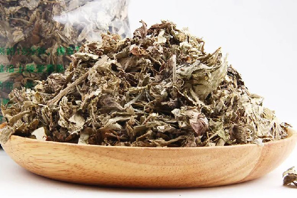 艾草能止癢治皮膚病嗎 艾草止癢有用嗎 艾草能止癢治皮膚病嗎 艾草止癢有用嗎