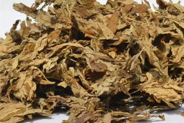 艾草可以洗臉治痘嗎 艾草洗臉的功效和作用 艾草可以洗臉治痘嗎 艾草洗臉的功效和作用