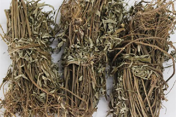 艾草多長時間熏一次 艾草熏煙對人體有害嗎 艾草多長時間熏一次 艾草熏煙對人體有害嗎