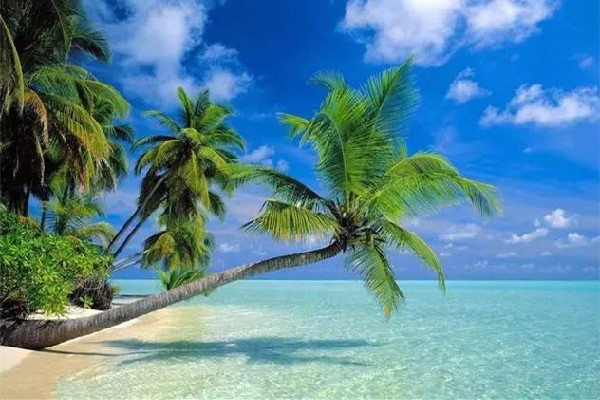 三亞民宿老板稱一個月賺回三年虧損 三亞去哪里玩比較好 三亞民宿老板稱一個月賺回三年虧損 三亞去哪里玩比較好