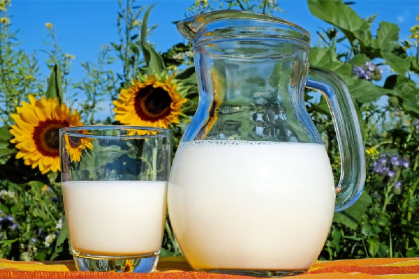 全脂牛奶有沉淀物正常嗎 全脂牛奶放久了為什么凝固 全脂牛奶有沉淀物正常嗎 全脂牛奶放久了為什么凝固