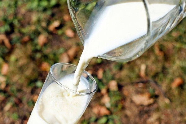 全脂牛奶要加熱喝嗎 全脂牛奶加熱后會(huì)損失蛋白質(zhì)嗎 全脂牛奶要加熱喝嗎 全脂牛奶加熱后會(huì)損失蛋白質(zhì)嗎