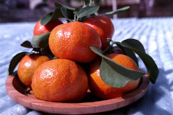 砂糖橘吃幾個(gè)比較好 砂糖橘不能和什么東西一起吃 砂糖橘吃幾個(gè)比較好 砂糖橘不能和什么東西一起吃