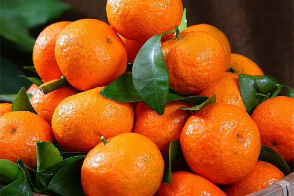 砂糖橘吃了會(huì)變黃嘛 砂糖橘對(duì)皮膚好嗎 砂糖橘吃了會(huì)變黃嘛 砂糖橘對(duì)皮膚好嗎