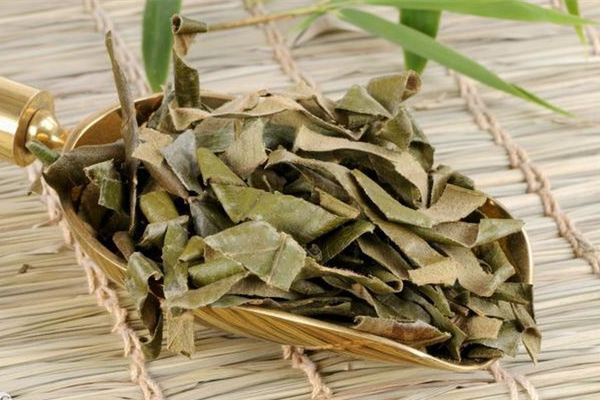 枇杷葉和什么一起煮止咳效果好 枇杷葉可以和梨子冰糖一起燉嗎 枇杷葉和什么一起煮止咳效果好 枇杷葉可以和梨子冰糖一起燉嗎