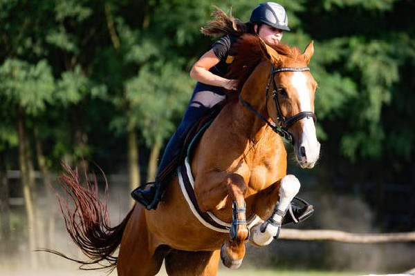女子在景點(diǎn)騎馬摔斷11顆牙 騎馬要注意哪些事項(xiàng) 女子在景點(diǎn)騎馬摔斷11顆牙 騎馬要注意哪些事項(xiàng)