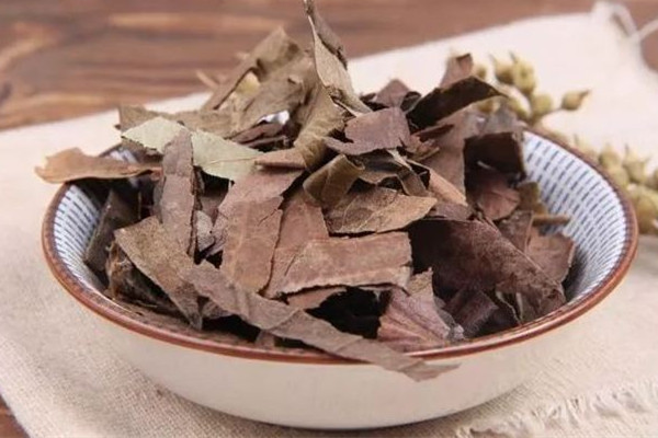 枇杷葉可以煮幾次水 枇杷葉放幾片煮水 枇杷葉可以煮幾次水 枇杷葉放幾片煮水