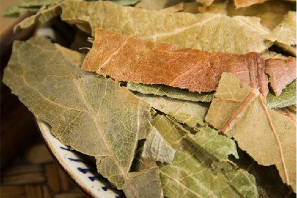 枇杷葉熬制枇杷膏做法 枇杷葉適合百日咳嗎 枇杷葉熬制枇杷膏做法 枇杷葉適合百日咳嗎