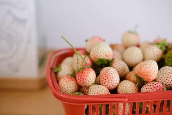 白草莓價格多少錢一斤 白草莓和紅草莓哪個貴 白草莓價格多少錢一斤 白草莓和紅草莓哪個貴