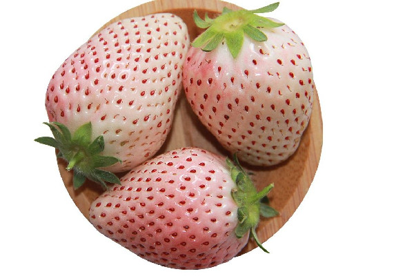 白草莓好吃還是紅草莓好吃 白草莓什么味道 白草莓好吃還是紅草莓好吃 白草莓什么味道