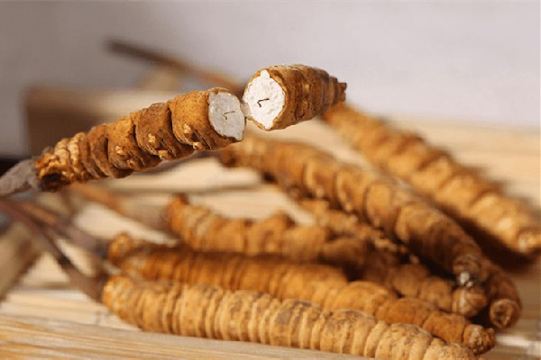 冬蟲夏草適合老人吃嗎 冬蟲夏草適合什么年齡段的人吃 冬蟲夏草適合老人吃嗎 冬蟲夏草適合什么年齡段的人吃