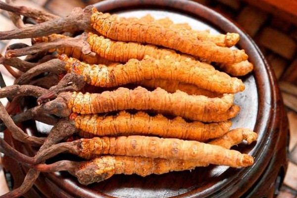 冬蟲(chóng)夏草的功效有哪些 冬蟲(chóng)夏草對(duì)心臟好嗎 冬蟲(chóng)夏草的功效有哪些 冬蟲(chóng)夏草對(duì)心臟好嗎