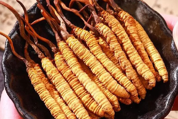 冬蟲夏草的價位大概是多少 冬蟲夏草哪個品牌質(zhì)量好 冬蟲夏草的價位大概是多少 冬蟲夏草哪個品牌質(zhì)量好