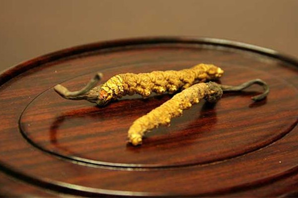 冬蟲(chóng)夏草泡酒一般一斤多少根 冬蟲(chóng)夏草泡酒加什么藥材好