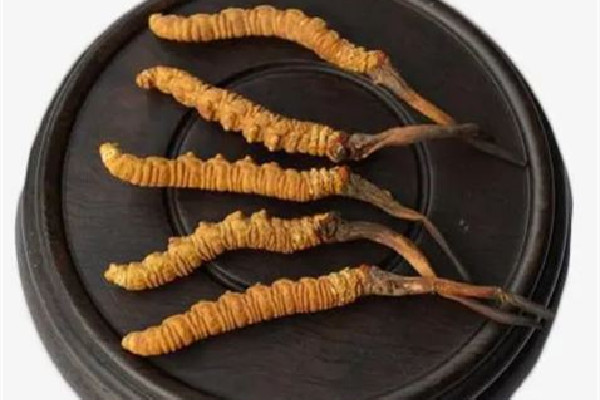 冬蟲夏草的價位大概是多少 冬蟲夏草哪個品牌質(zhì)量好 冬蟲夏草的價位大概是多少 冬蟲夏草哪個品牌質(zhì)量好