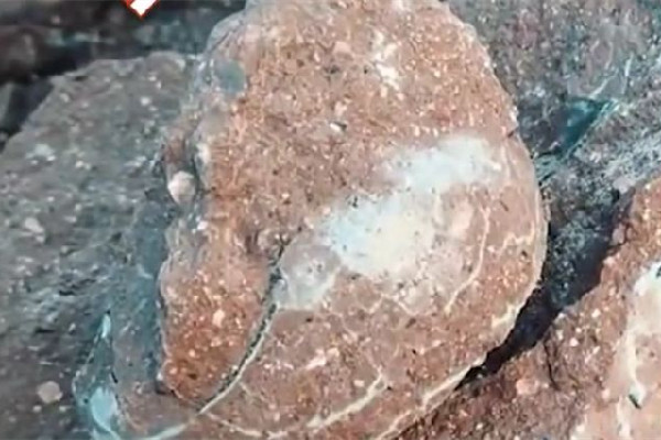 男子散步時(shí)意外發(fā)現(xiàn)恐龍蛋化石 恐龍化石是怎么形成的 男子散步時(shí)意外發(fā)現(xiàn)恐龍蛋化石 恐龍化石是怎么形成的