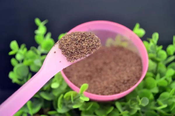 海藻面膜的正確使用方法 海藻面膜可以每天晚上都敷嗎 海藻面膜的正確使用方法 海藻面膜可以每天晚上都敷嗎