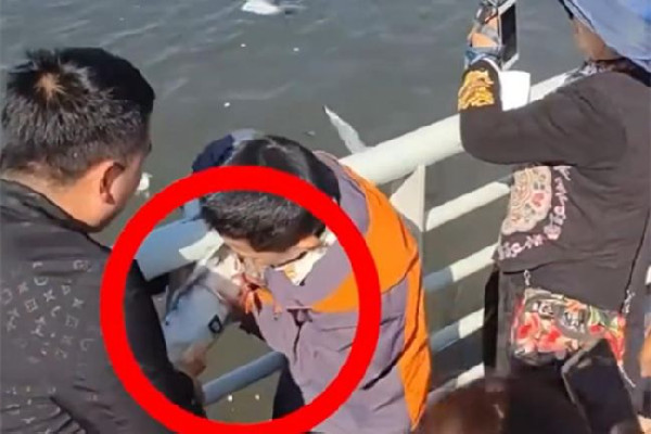 家長帶男孩抓海鷗硬生生塞進(jìn)罐子 海鷗是保護(hù)動(dòng)物嗎 家長帶男孩抓海鷗硬生生塞進(jìn)罐子 海鷗是保護(hù)動(dòng)物嗎