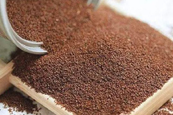 海藻面膜是大顆粒的好還是小顆粒的好 海藻面膜買哪種的好 海藻面膜是大顆粒的好還是小顆粒的好 海藻面膜買哪種的好