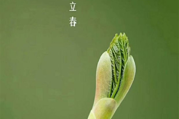 立春有什么講究和禁忌 立春回娘家有什么說(shuō)法 立春有什么講究和禁忌 立春回娘家有什么說(shuō)法