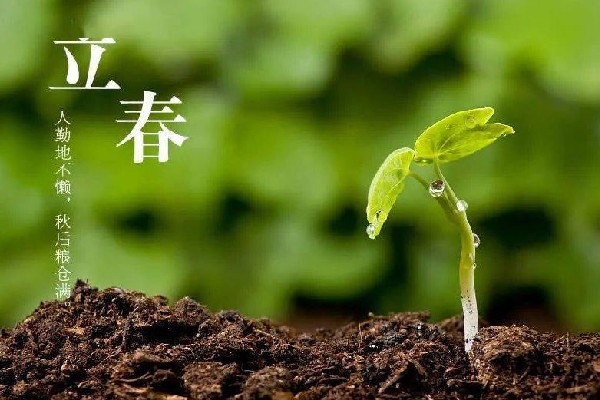 立春躲太歲需要多長時間 立春為什么要躲春 立春躲太歲需要多長時間 立春為什么要躲春