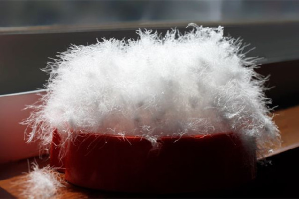 男子從養(yǎng)鵝開始給老婆做羽絨服 羽絨服鵝絨多少克暖和 男子從養(yǎng)鵝開始給老婆做羽絨服 羽絨服鵝絨多少克暖和