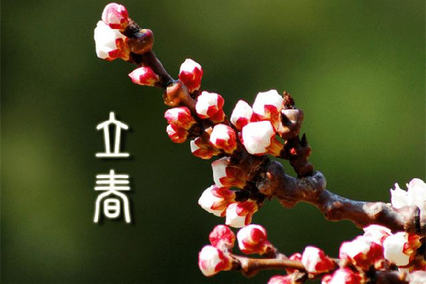 立春有什么講究和禁忌 立春回娘家有什么說(shuō)法 立春有什么講究和禁忌 立春回娘家有什么說(shuō)法