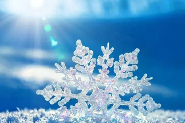 2023年來最強雨雪上線 雨雪天氣是什么造成的 2023年來最強雨雪上線 雨雪天氣是什么造成的