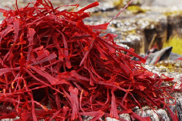 藏紅花喝多久可以停一下 藏紅花長期喝有沒有副作用 藏紅花喝多久可以停一下 藏紅花長期喝有沒有副作用