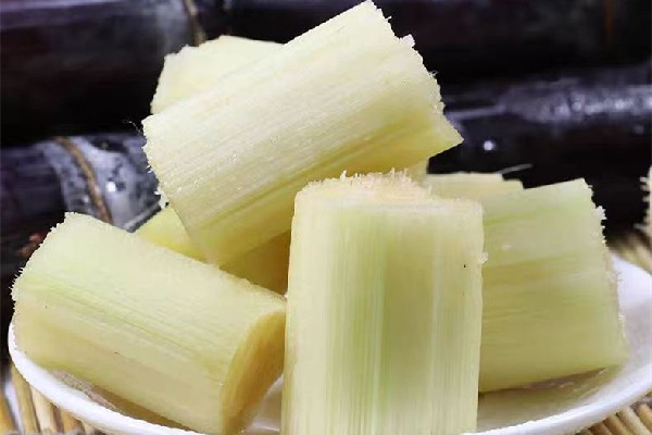 甘蔗榨汁喝對口腔潰瘍有好處嗎 甘蔗榨汁可以放多久 甘蔗榨汁喝對口腔潰瘍有好處嗎 甘蔗榨汁可以放多久