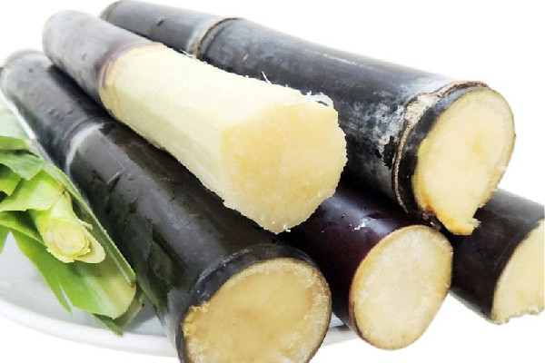 甘蔗有紅色斑點能吃嗎 甘蔗變質(zhì)什么樣子 甘蔗有紅色斑點能吃嗎 甘蔗變質(zhì)什么樣子