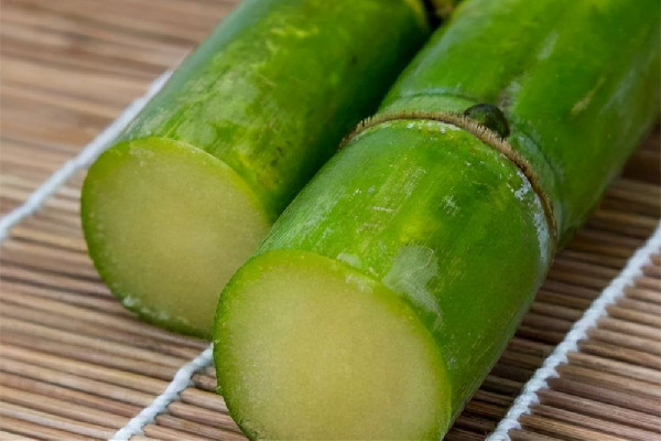 甘蔗榨汁喝對口腔潰瘍有好處嗎 甘蔗榨汁可以放多久 甘蔗榨汁喝對口腔潰瘍有好處嗎 甘蔗榨汁可以放多久