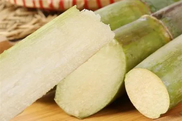 甘蔗有紅色斑點能吃嗎 甘蔗變質(zhì)什么樣子 甘蔗有紅色斑點能吃嗎 甘蔗變質(zhì)什么樣子