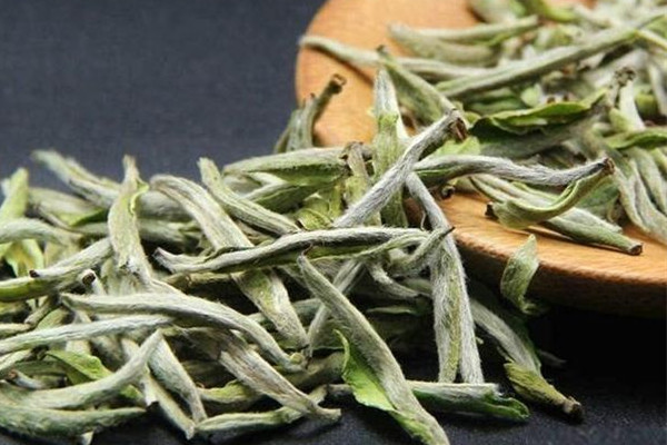 白毫銀針多少錢一斤2023年 白毫銀針屬于什么檔次 白毫銀針多少錢一斤2023年 白毫銀針屬于什么檔次