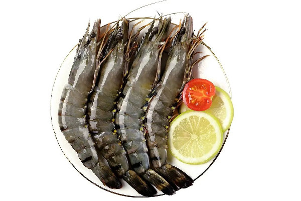 黑虎蝦有什么營養(yǎng)價值 黑虎蝦不和普通蝦有什么區(qū)別 黑虎蝦有什么營養(yǎng)價值 黑虎蝦不和普通蝦有什么區(qū)別